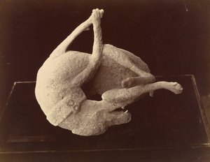 (Cast av en hund dödad av utbrottet av Vesuvius, Pompeji)